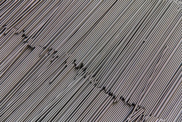 Loading Image